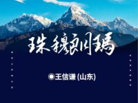 珠穆朗玛/王信谦