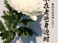 你不在老爸身边时/瓜尔佳荒原