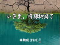 小区里，有棵树病了/魏威