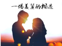 一场美丽的相遇/杨功夫