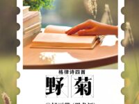 格律诗四首•野菊/杨丽萍