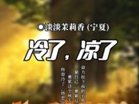 冷了，凉了/淡淡茉莉香
