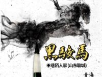 黑骏马/巷陌人家