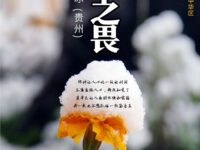 精神之畏/林禾冰