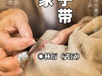 让茧子带你回家/林衍