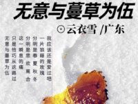 无意与蔓草为伍/云衣雪