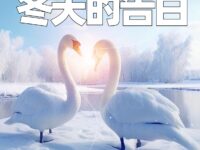 冬天的告白/锁树坤