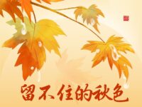 留不住的秋色/天添