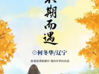 不期而遇/何冬华