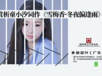 赏析童小汐词作《雪梅香•冬夜偏逢雨》/詹坚兴
