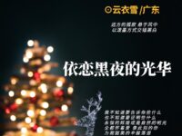 依恋黑夜的光华/云衣雪