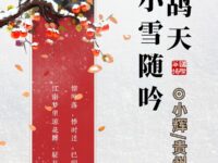 鹧鸪天•小雪随吟/小辉