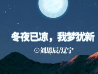冬夜已凉，我梦犹新/刘思辰