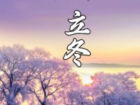 立冬/瓜尔佳荒原