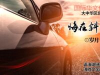 悔在斜阳后/岁月