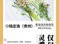 仅仅是心灵鸡汤/陆定渔