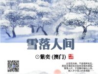 雪落人间/紫奕