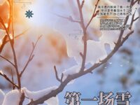第一场雪/岁月