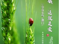 哦！这就是爱/空谷小鸟