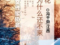 雪花，你为什么还不来/冯干劲