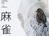 组诗：麻雀/伊墨林