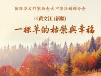 一棵草的枯荣与幸福/黄文江