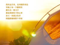 旷野里孤独的沙枣树/寒冰