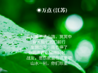 送行的雨水/万点