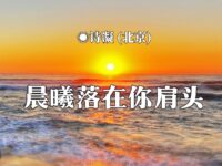 晨曦落在你肩头/诗凝