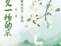 朱怀芳：一场又一场的风（外一首）