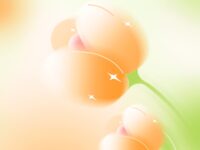 姜孝春:春天的笑声碎了一地(组诗)