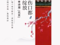 每一道伤口都是梅花绽放/诗凝