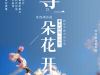 等一朵花开/李淑艳