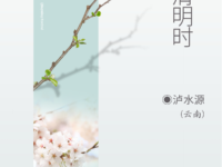 又到清明时/泸水源