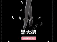 黑天鹅/诗凝