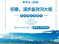 初春，漫步盖孜河大堤/寒冰