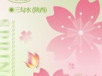 被风挑着的旧梦/三勾水