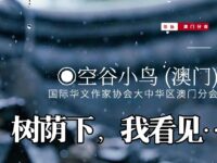 树荫下，我看见/空谷小鸟