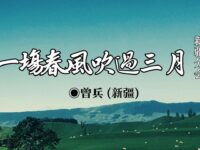 一场春风吹过三月/曾兵