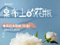 桌布上的花瓶/苏拉木塔格