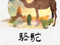 骆驼/日落微霞