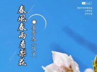 散文:春风春雨看梨花/姜孝春