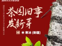 茶园旧事发新芽/寒冰