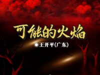 可能的火焰/王开平