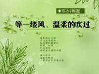 等一缕风，温柔的吹过/寒冰