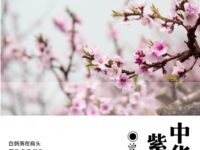 曾兵：中华石园紫藤花（外一首）
