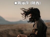 随心所欲/陈丽萍