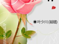 爱与释怀/叶少川