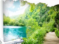 华协星群：融化的春天/华协北京分会