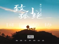 致小孤绝/白丁